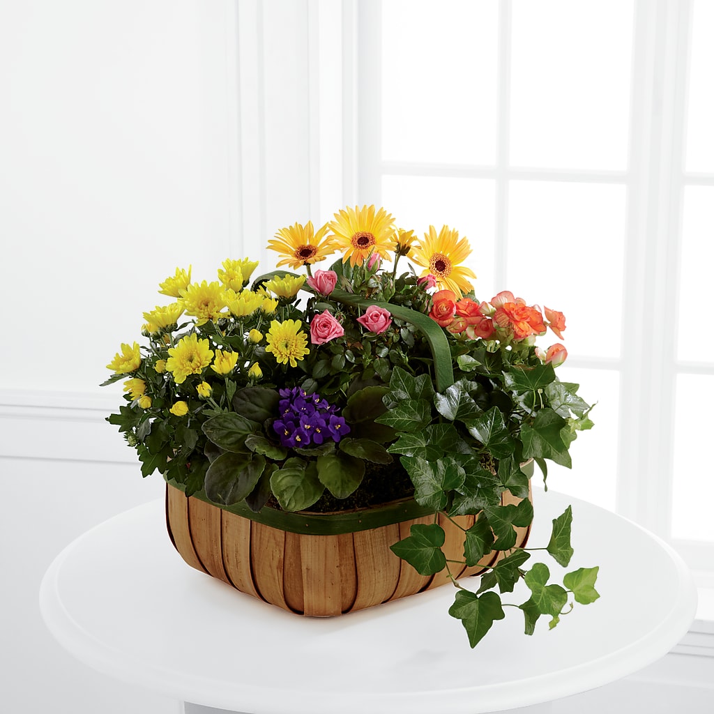 Gentle Blossoms Basket – STEPH'S CREATIONS FLORAL DESIGN, Atoka OK