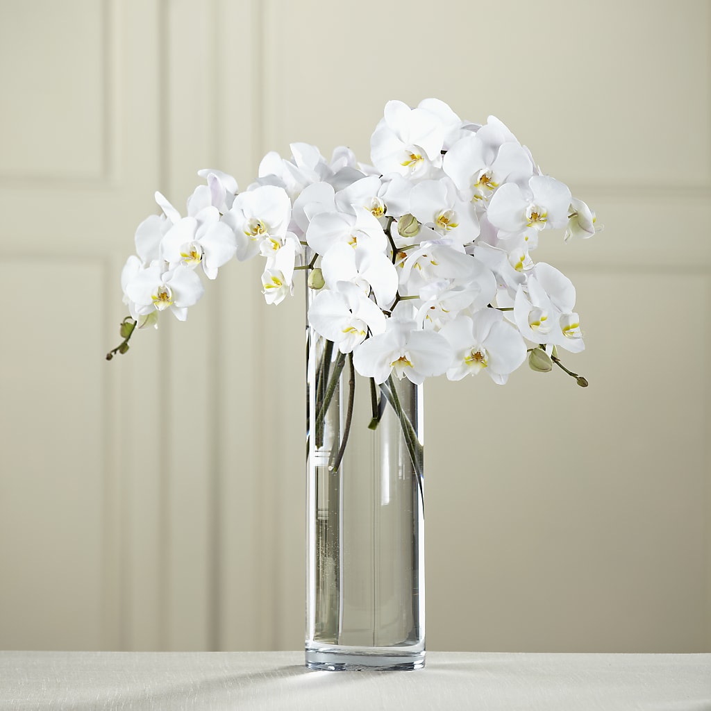 White Phalaenopsis Bouquet – STEPH'S CREATIONS FLORAL DESIGN, Atoka OK