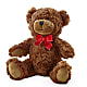 Adorable Plush Bear – STEPH'S CREATIONS FLORAL DESIGN, Atoka OK