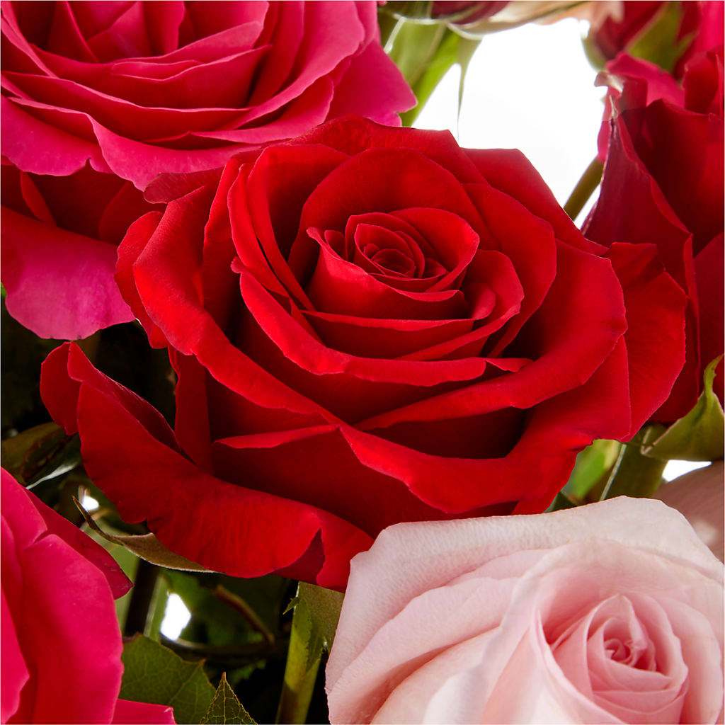Love Notes Rose Bouquet – STEPH'S CREATIONS FLORAL DESIGN, Atoka OK