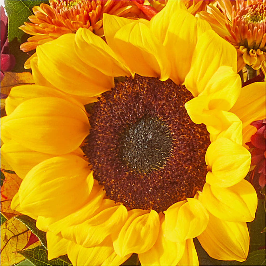 Sunny Side Bouquet – STEPH'S CREATIONS FLORAL DESIGN, Atoka OK