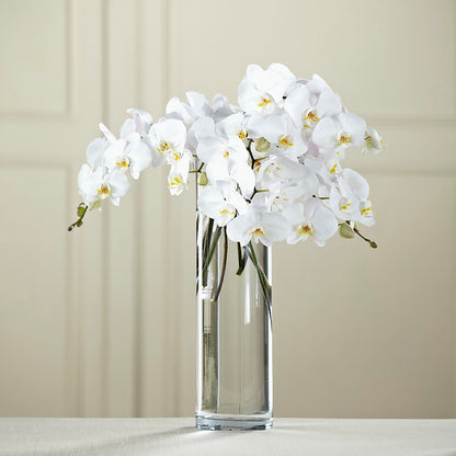 White Phalaenopsis Bouquet – STEPH'S CREATIONS FLORAL DESIGN, Atoka OK